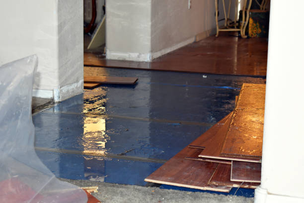 Professional Water Damage Restoration technician working in Tilton, NH